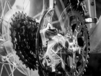 Everyone needs to know there gears ... 