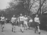 Everyone needs to walk ... it helps!